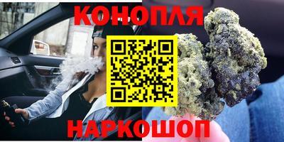 СК Тара