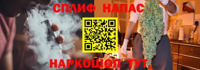 СК Тара
